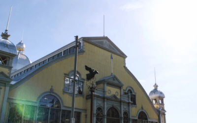 Cool Places in Ottawa #1 613 Flea Market at the Aberdeen Pavilion